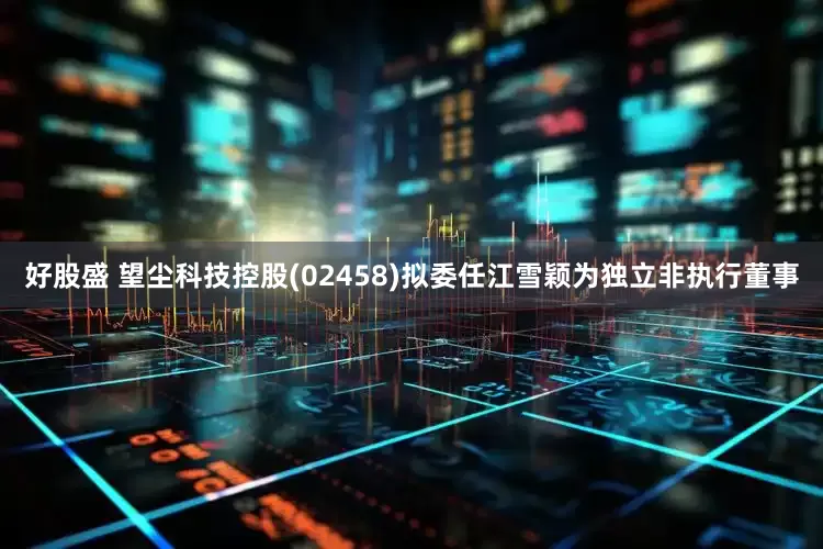 好股盛 望尘科技控股(02458)拟委任江雪颖为独立非执行董事