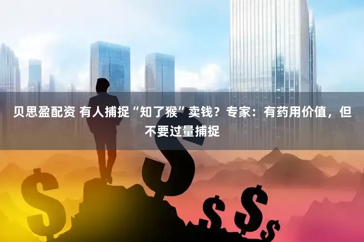 贝思盈配资 有人捕捉“知了猴”卖钱？专家：有药用价值，但不要过量捕捉